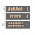Kaili - зубы акриловые, верхние T6/нижние L6, цвет A4, размер 32, коробка 4х28 шт A4T6/L6/32_Kaili - фото 400074