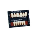 SR Vivodent DCL Set A-D - набор фронтальных зубов A-D, 6 шт 564852 - фото 400155