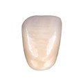 VITA MFT classical A1 – D4 - базовые фронтальные зубы из полимерного материала (цвет и форма на выбор), 1 шт VITAMFT-AC-A1D4-1 - фото 400162