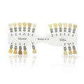 IPS InLine Material Shade Guide Margin A-D - расцветка плечевых масс A-D 593363 - фото 400580