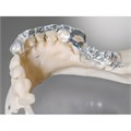 3D материал Freeprint ortho 385 - для моделирования, прозрачный, 1 кг 3989 - фото 401221