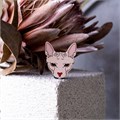 "Значок ""Сфинкс""" AW_M84 - фото 406360