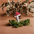"Значок ""Мухомор""" AW_M83 - фото 406512