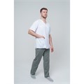 Брюки мужские TZ610, серый, 52 TZ610-GRY-52 - фото 407095