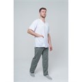 Брюки мужские TZ610, серый, 56 TZ610-GRY-56 - фото 407162