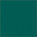 Брюки мужские Cherokee CK004A, зелёный, XS CK004A-HNPS-XS - фото 407206