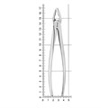 HLW 11-34A - щипцы для удаления зубов верхние резцы/клыки 11-34A - фото 411043