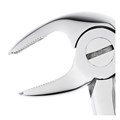 HLW 11-22S - щипцы для удаления зубов детские нижние, моляры 11-22S - фото 411149