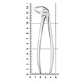 HLW 11-22S - щипцы для удаления зубов детские нижние, моляры 11-22S - фото 411152