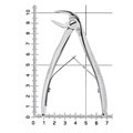 HLW 11-7B - щипцы для удаления зубов детские нижние, корневые 11-7B - фото 413687