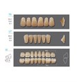 Зубы акриловые Кaifeng 28*1/ C3 T5 1 уп. (4 гарн.), C3T5/L7/32_Kaifeng C3T5/L7/32_Kaifeng - фото 415057