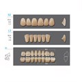 Зубы акриловые Кaifeng 28*1/ C3 S2 1 уп. (4 гарн.), C3S2/L2/30_Kaifeng C3S2/L2/30_Kaifeng - фото 415898