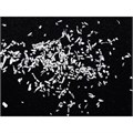 XENOGRAFT Cortical - гранулы с коллагеном (100% кортикальный слой), 0,5-1,0 мм, 1,0 сс XCr-1-1 - фото 418021