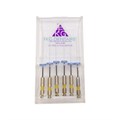 S-Apex NiTi Ra - машинный никель-титановый файл, 25 мм, №20, 6 шт 6002025 - фото 419949
