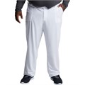 Брюки мужские Dickies DK015, белый, XS DK015-WTPS-XS - фото 429240