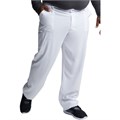 Брюки мужские Dickies DK015, белый, XS DK015-WTPS-XS - фото 429243