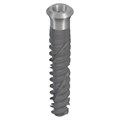 Имплантат Straumann TLX S, RT Ø 3.75 мм, 18 мм, Roxolid®, SLActive® 035.1118S - фото 435446