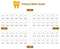 Коронки I CROWN Refill ELR-2 из нержавеющей стали детские (5 шт) Seil Global 1231917648 - фото 445690