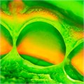 Elite НD + Putty Soft Normal Setting (2х250мл) С203000 00000909462 - фото 445866