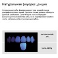 Luna-Wing Translucent T 3 мл 1231916674 - фото 446462