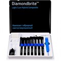 Diamondbrite Hybrid LC набор (7шпр.х4г. A2,А3,А3.5,В2,С2,D2,универс. опак, Etchant gel 4г, One step Dentin/Enamel Bond 5мл, аксесс.) 1231917543 - фото 449056