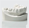 Супергипс Elite Model Fast 3-го класса, Light Cream (кремовый), 3 кг., Zhermack 1231916930 - фото 449104