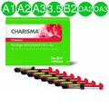 Сharisma Сlassic Syr Kit Набор 8x4г+ Gluma2Bond 0001914677 - фото 457185
