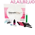 CharmFil Plus НАБОР 4 шпр. (A2, A3, B2, UO)- бонд CharmBond 5 мл, гель для протравки, DENTKIST 1231913743 - фото 457232