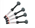Dynamic Plus B2, шприц (4гр), микрогибридный композит President Dental Germany 0001916575 - фото 457294