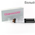 CharmCore цв.Белый-цемент двойного отверждения (2кар.х5мл,20 нас,20канюль), DentKist 1231913075 - фото 459001