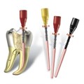 Protaper Universal Obturator F4, 20шт, Dentsply 1231914787 - фото 459621