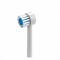 Наконечники Waterpik TB-100E насадки-щетки для WP-100, WP-260, WP-300, WP-660 0001916444 - фото 460566