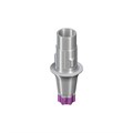 Абатмент Variobase®  RB/WB, для коронки, диаметр 4.5мм, высота десны 2.5мм, высота абатмента 5.5мм, с винтом, 062.4945 - фото 463512