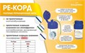 Нить ретракционная Ре-Корд № 2 пропитанная эпинефрином, зеленая 2,8 м. 00000061936 - фото 467859