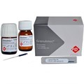 Produits Dentaires SA Granulotec -паста для постоянной обтурации инфицированных корневых каналов, 20 г+15 мл 11571 - фото 468698
