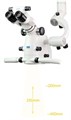 Микроскоп операционный Zumax OMS 2380 (cо встроенной камерой) 283V0740 - фото 475107