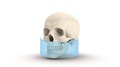 Томограф Orthopantomograph KAVO DEXIS OP 3D Pro Ceph область 3D сканирования 13x15 см с цефалостатом 0.805.560013x15 - фото 475493