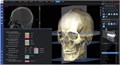 Программное обеспечение Planmeca Romexis 3D Cephalometric Analysis, лицензия на 1 пользователя FE004915 - фото 476282
