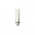 КХСRAB45CN Отливаемый абатмент, КХС, диаметр 4.5 мм, Dentium (Ю.Корея) RAB45CN - фото 485982