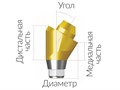 ASA55153018N  Винтовой угловой абатмент без шестигранника, диаметр 5.5 мм, Dentium (Ю.Корея) ASA55153018N - фото 486180