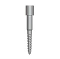 DGAS10 Фиксирующий винт, 19 мм, Dentium (Ю.Корея) DGAS10 - фото 486431