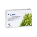 P-CEM - цемент безэвгенольный для временной фиксации коронок в тубах WP4010 - фото 487115