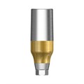 FreeForm ST - абатмент, D=5.0 мм (прямой тип), G/H=3 мм, Standart, 6-гран + винт Ebony Gold GSFAS5030WH - фото 487832
