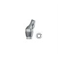 Абатмент угловой Profile EV 4.8, 20°, высота 2 мм NI (Angled Abutment Profile EV 4.8, 20° – 2 mm NI), арт: 25893 25893 - фото 492778