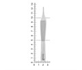 Nopa Instruments AB 100/12 - пинцет ADSON анатомический, 12 см AB 100/12 - фото 496441