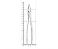 Nopa Instruments PA 151/00 - щипцы извлекающие корневые для верхней челюсти №151 PA 151/00 - фото 496815