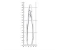 Nopa Instruments PA 007/00 - щипцы извлекающие для премоляров верхней челюсти №7 PA 007/00 - фото 496834
