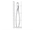 Nopa Instruments PA 079/00 - щипцы извлекающие для третьих моляров нижней челюсти №79 PA 079/00 - фото 496861