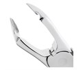 Nopa Instruments PA 046/00 - щипцы извлекающие корневые для нижней челюсти №46N PA 046/00 - фото 496883