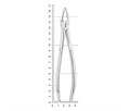 Nopa Instruments PA 030/00 - щипцы извлекающие корневые для верхней челюсти №30 PA 030/00 - фото 496923